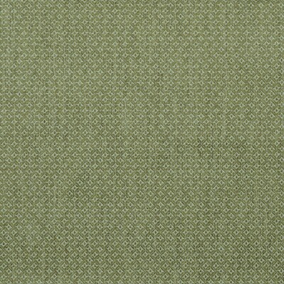 Lee Jofa BFC-3677.314.0 Cavendish Upholstery Fabric in Lime/Chartreuse/Green/Celery