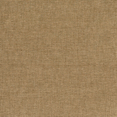 Lee Jofa BFC-3713.4.0 Webster Upholstery Fabric in Gold/Yellow/White