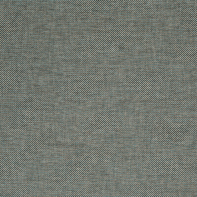 Lee Jofa BFC-3713.535.0 Webster Upholstery Fabric in Ocean/Blue/White