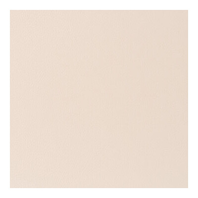 Kravet Contract BOONE.116.0 Boone Upholstery Fabric in Wheat , Ivory , Conch