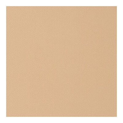 Kravet Contract BOONE.16.0 Boone Upholstery Fabric in Wheat , Beige , Dune