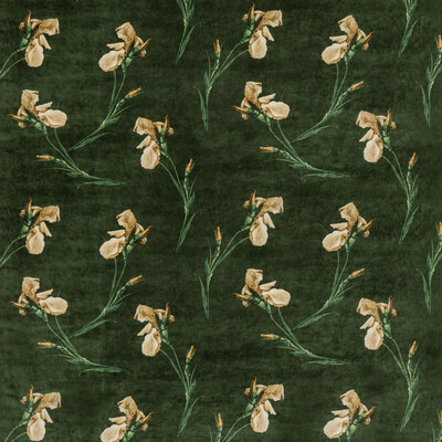 GP&J Baker BP10819.2.0 Baker Iris Multipurpose Fabric in Emerald