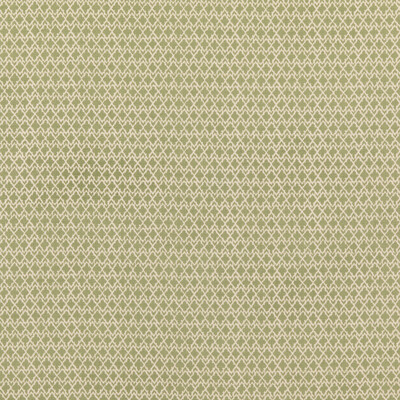 GP&J Baker BP10889.4.0 Merrin Multipurpose Fabric in Green