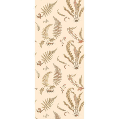 G P & J Baker Bw45122.2.0 Ferns Wallcovering in Parchment/Beige/Brown