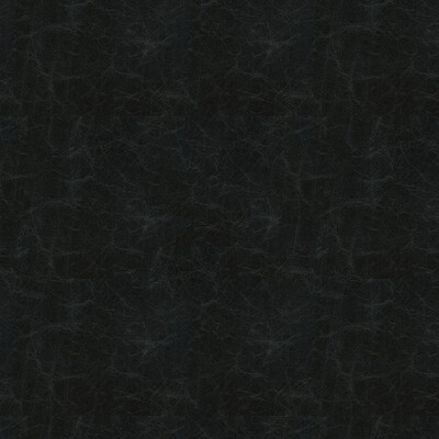 Kravet Couture CAPTURED.50.0 Captured Upholstery Fabric in Dark Blue , Dark Blue , Steel