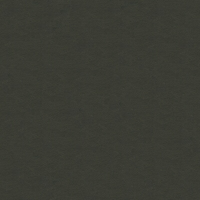 Kravet Design CARA.21.0 Kravet Design Upholstery Fabric in Grey , Grey , Cara-21
