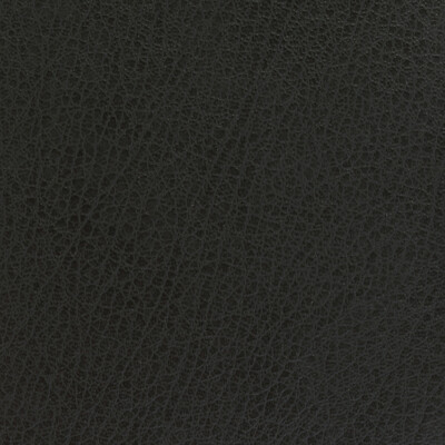 Kravet Basics CELINE.21.0 Kravet Basics Upholstery Fabric in Charcoal , Charcoal , Celine-21