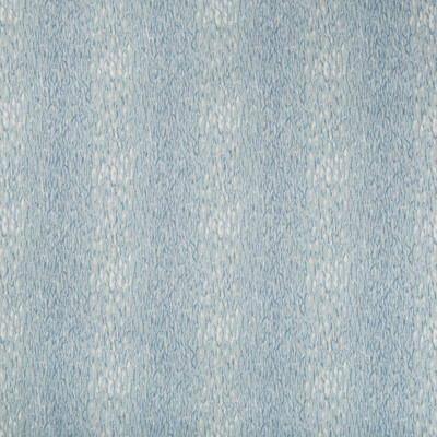 Kravet Basics CHROMIS.15.0 Chromis Multipurpose Fabric in Blue , White , Reflection