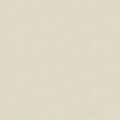 Kravet Design CIELO.1111.0 Kravet Design Upholstery Fabric in Light Grey , Light Grey , Cielo-1111