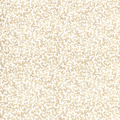 Kravet Basics CORALCOAST.161.0 Coralcoast Multipurpose Fabric in Sand/Beige/White