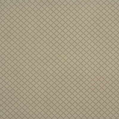 Kravet Couture CROSSCUT.16.0 Crosscut Upholstery Fabric in Beige , Beige , Sandstone