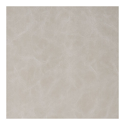 Kravet Contract DAYTRIPPER.106.0 Daytripper Upholstery Fabric in Beige , Neutral , Shale
