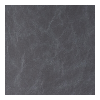 Kravet Contract DAYTRIPPER.21.0 Daytripper Upholstery Fabric in Grey , Charcoal , Supernova