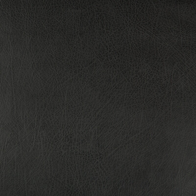 Kravet Design DEIMOS.8.0 Kravet Design Upholstery Fabric in Black , Black , Deimos-8