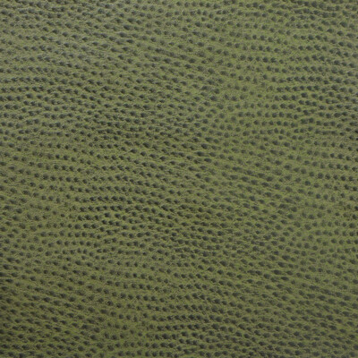 Kravet Design DELANEY.3.0 Kravet Design Upholstery Fabric in Green , Green , Delaney-3
