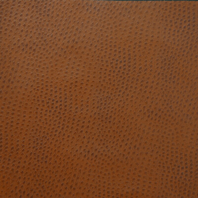 Kravet Design DELANEY.6.0 Kravet Design Upholstery Fabric in Brown , Brown , Delaney-6