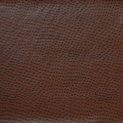Kravet Design DELANEY.66.0 Kravet Design Upholstery Fabric in Brown , Brown , Delaney-66