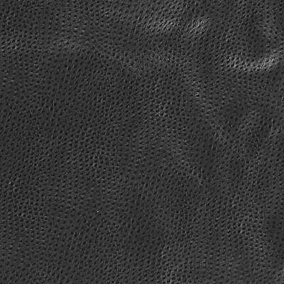 Kravet Design DELANEY.8.0 Kravet Design Upholstery Fabric in Black , Black , Delaney-8