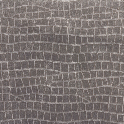 Kravet Couture DINOTOPIA.11.0 Dinotopia Upholstery Fabric in Grey , Grey , Quartz