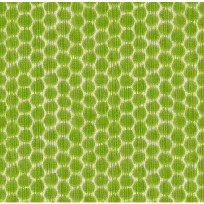 Kravet DOTKAT.3.0 Dotkat Multipurpose Fabric in Glade/Beige/Green