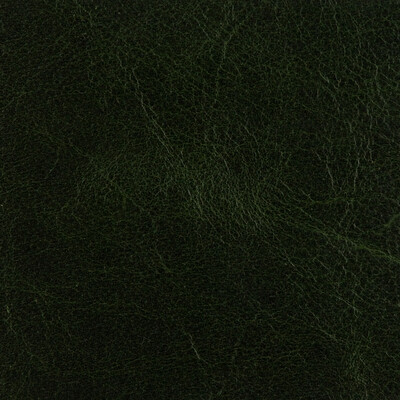 Threads ED50015.794.0 Crawford Upholstery Fabric in Forest Green/Green