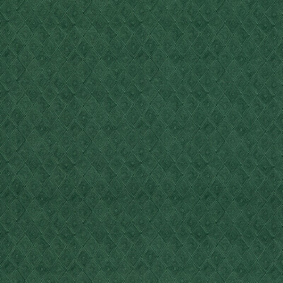 Threads ED75042.5.0 Boundary Multipurpose Fabric in Emerald/Green