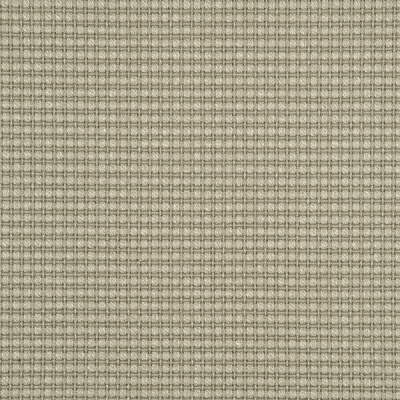 Threads ED85058.780.0 Avani Multipurpose Fabric in Silver Birch/Beige