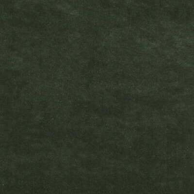 Threads ED85222.791.0 Mercury Upholstery Fabric in Bottle/Green
