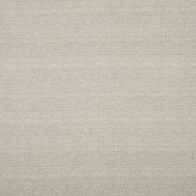 Threads ED85260.905.0 Molina Multipurpose Fabric in Platinum/Grey