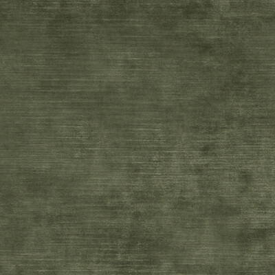Threads ED85292.775.0 Meridian Velvet Upholstery Fabric in Fern/Green