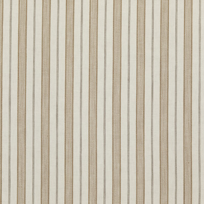 Threads ED85313.210.0 Stirling Multipurpose Fabric in Taupe/Beige