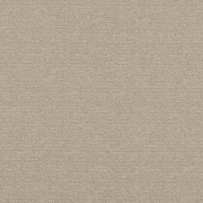 Threads ED85324.104.0 Bara Multipurpose Fabric in Ivory