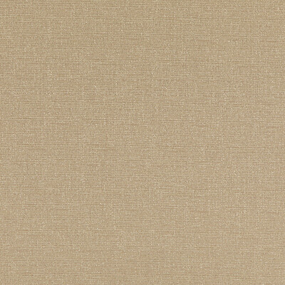 Threads ED85324.110.0 Bara Multipurpose Fabric in Linen