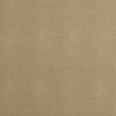Kravet Couture EPITOME.16.0 Epitome Upholstery Fabric in Beige , Beige , Putty