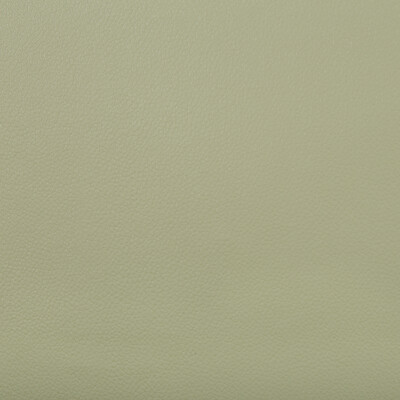 Kravet Contract EXTREME.130.0 Extreme Upholstery Fabric in Olive Green , Olive Green , Olive