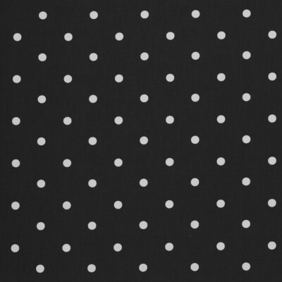 Clarke And Clarke F0063/02.CAC.0 Dotty Multipurpose Fabric in Charcoal