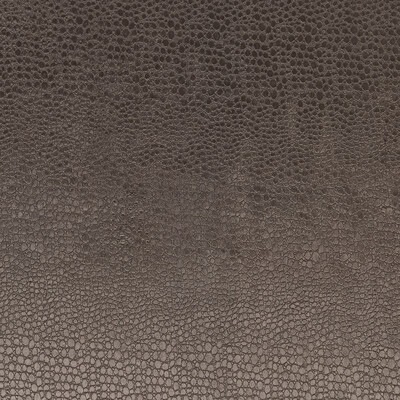 Clarke And Clarke F0469/03.CAC.0 Pulse Multipurpose Fabric in Charcoal