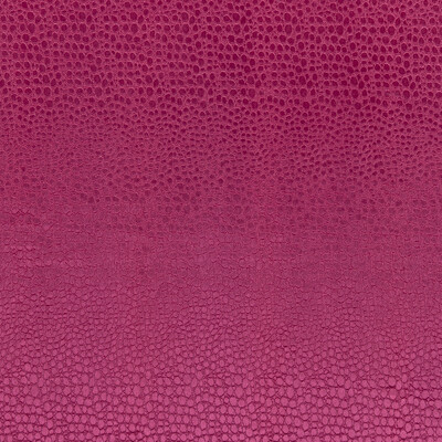 Clarke And Clarke F0469/14.CAC.0 Pulse Multipurpose Fabric in Sorbet