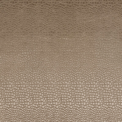 Clarke And Clarke F0469/15.CAC.0 Pulse Multipurpose Fabric in Taupe