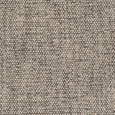 Clarke And Clarke F0581/01.CAC.0 Angus Multipurpose Fabric in Charcoal