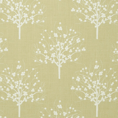 Clarke And Clarke F0733/05.CAC.0 Bowood Drapery Fabric in Sage