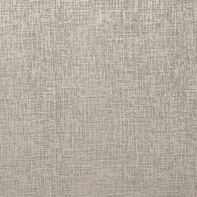 Clarke And Clarke F0751/08.CAC.0 Patina Multipurpose Fabric in Pewter