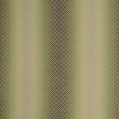 Clarke And Clarke F0790/06.CAC.0 Diamante Multipurpose Fabric in Olive