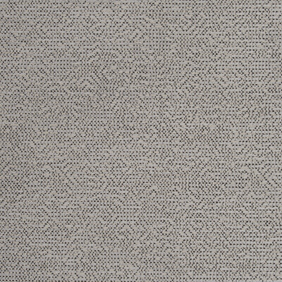 Clarke And Clarke F0804/01.CAC.0 Beauvoir Multipurpose Fabric in Charcoal