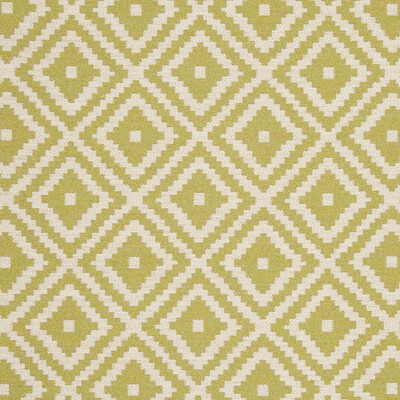 Clarke And Clarke F0810/10.CAC.0 Tahoma Upholstery Fabric in Palm