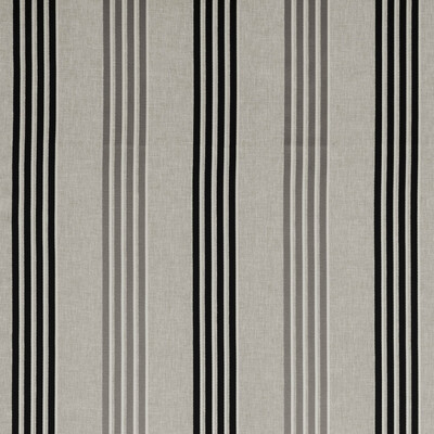 Clarke And Clarke F0941/01.CAC.0 Wensley Multipurpose Fabric in Charcoal