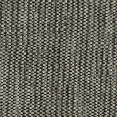 Clarke And Clarke F0965/09.CAC.0 Biarritz Multipurpose Fabric in Charcoal