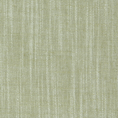 Clarke And Clarke F0965/16.CAC.0 Biarritz Multipurpose Fabric in Eucalyptus