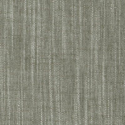 Clarke And Clarke F0965/25.CAC.0 Biarritz Multipurpose Fabric in Khaki