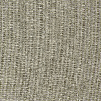 Clarke And Clarke F0965/27.CAC.0 Biarritz Multipurpose Fabric in Linen